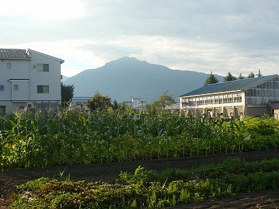 d0074063_07271102.jpg