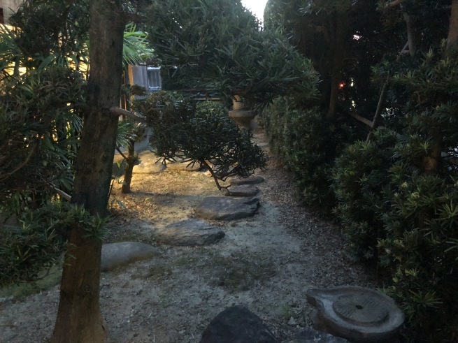 c0331864_20392411.jpeg
