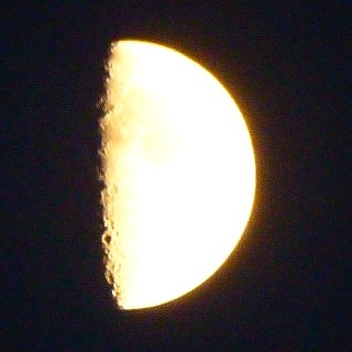 c0100865_05464031.jpg