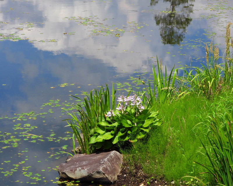 c0305565_17512930.jpg