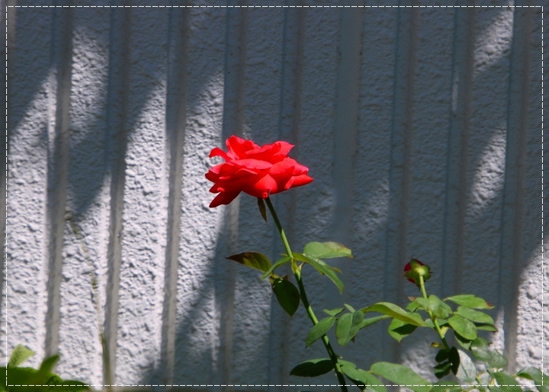 d0102968_22073641.jpg