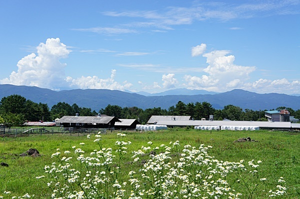 e0177271_20411642.jpg