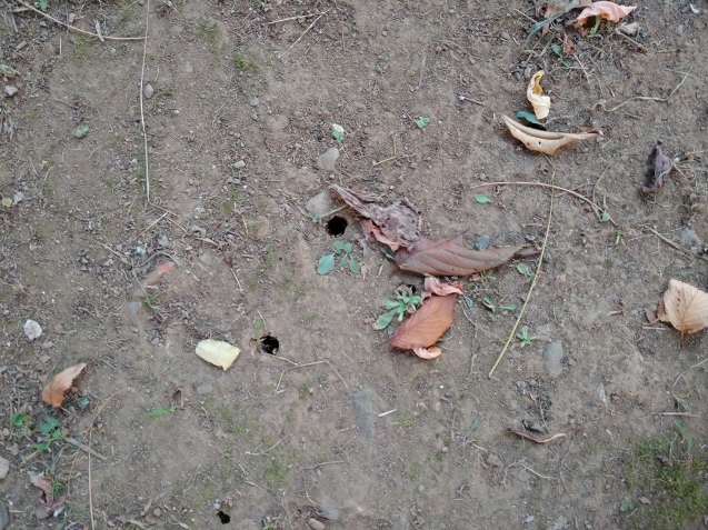 c0162773_11392681.jpg