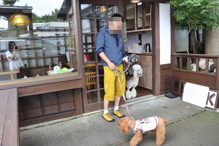 ⑪山中湖畔のほうとうの店「さんさい」さん。_b0111376_23183042.jpg