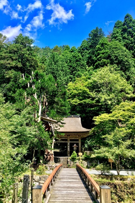 花背であそぼ〜２０１９・夏〜ご報告_b0057979_14355609.jpg