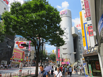 b0056983_15212781.jpg