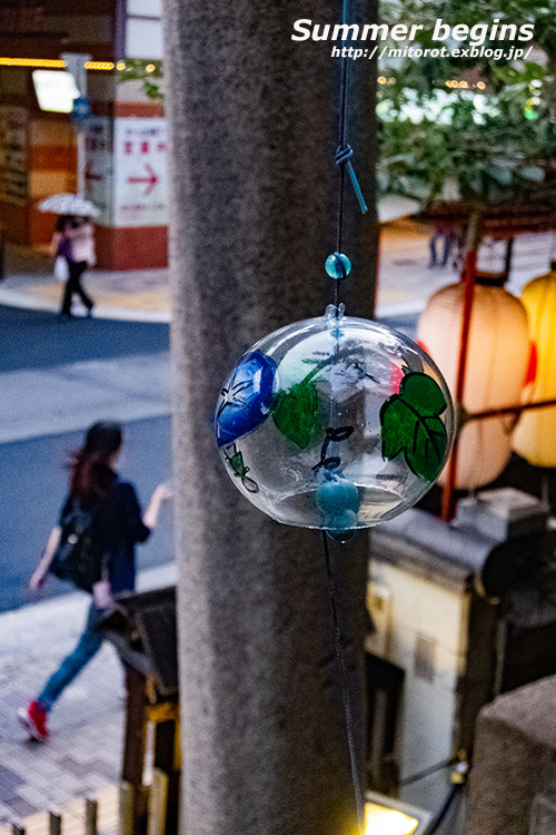 夏の始まり_d0039493_21075879.jpg