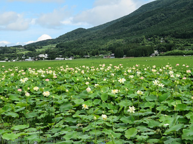 f0346196_14052196.jpg