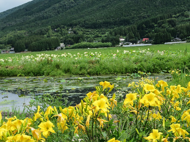 f0346196_14173187.jpg