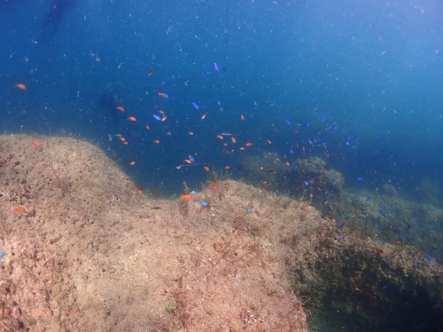 e0115199_16152548.jpg