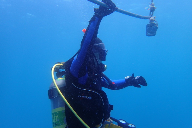 e0115199_17141729.jpg