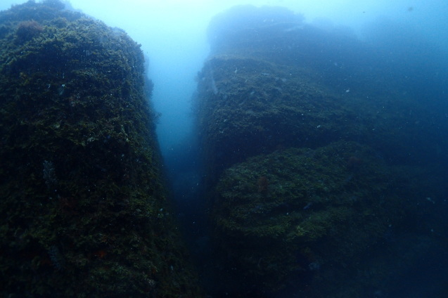 e0115199_17214355.jpg