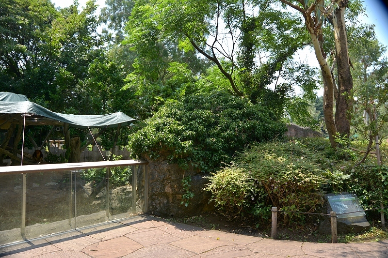 a0164204_13363684.jpg
