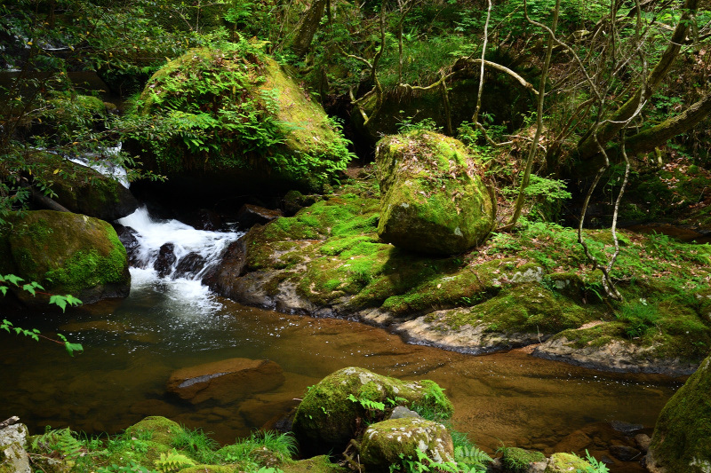 f0032011_16133600.jpg