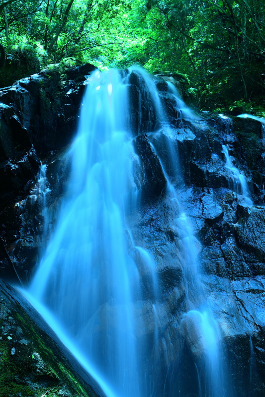 f0032011_16192391.jpg