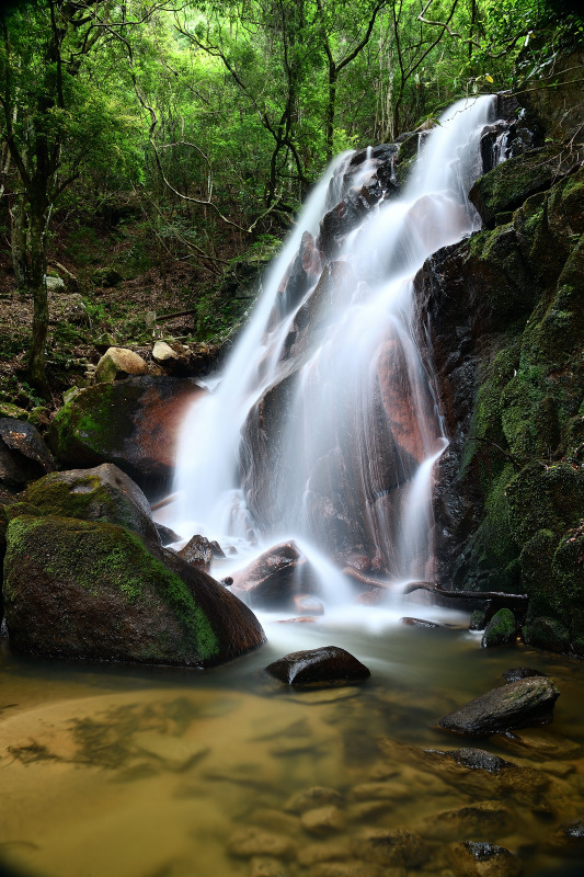 f0032011_16242526.jpg