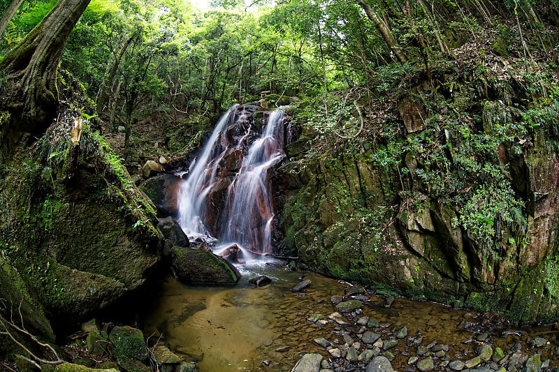 f0032011_16242610.jpg