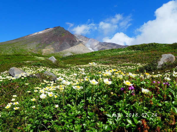 d0170615_05592750.jpg