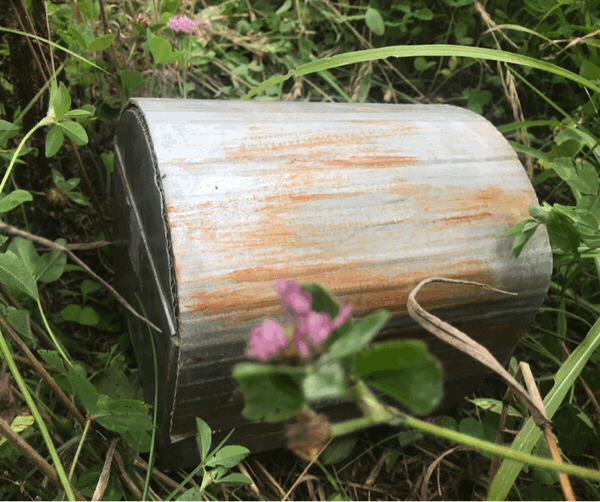 c0221521_17575580.gif