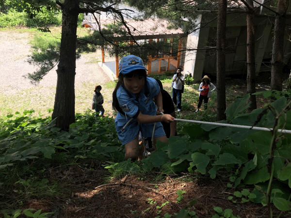 c0221521_23200548.gif