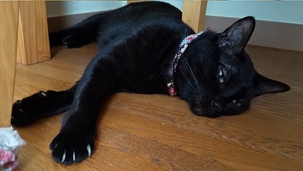 c0280322_17542230.jpg