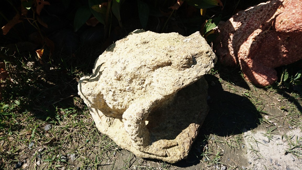 f0183722_09404850.jpg