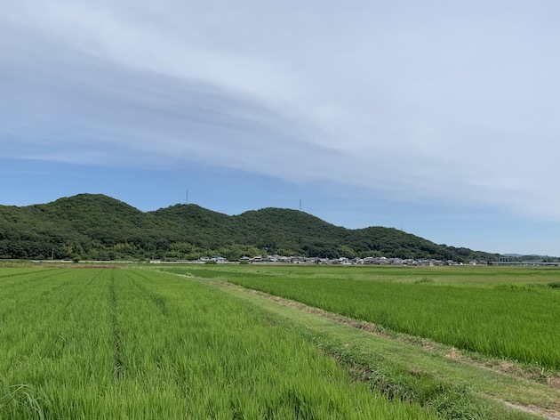 a0285828_15073393.jpeg