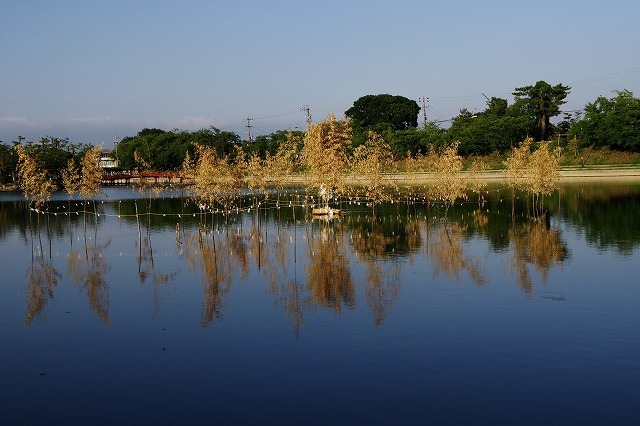 暑い津島の光景_d0250028_00261147.jpg