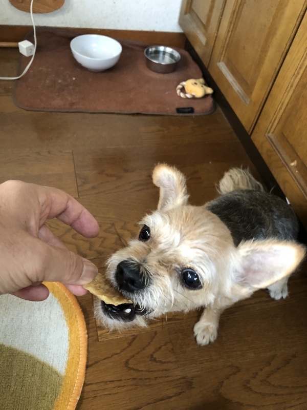 d0359930_09041747.jpeg