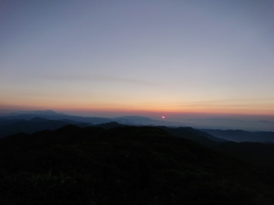 f0118332_21061129.jpg