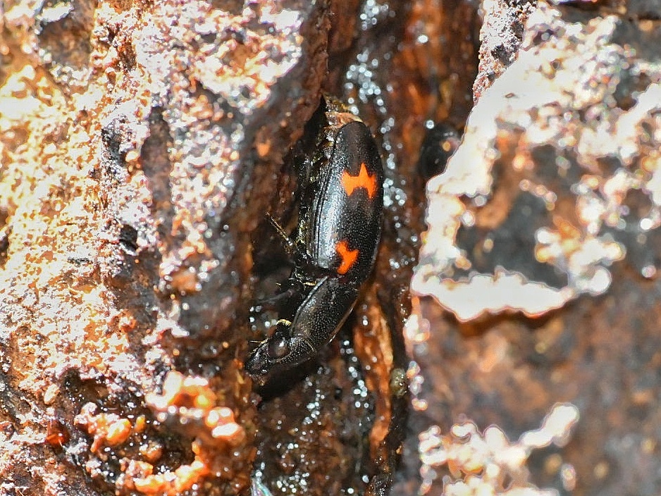 f0340732_17403071.jpg