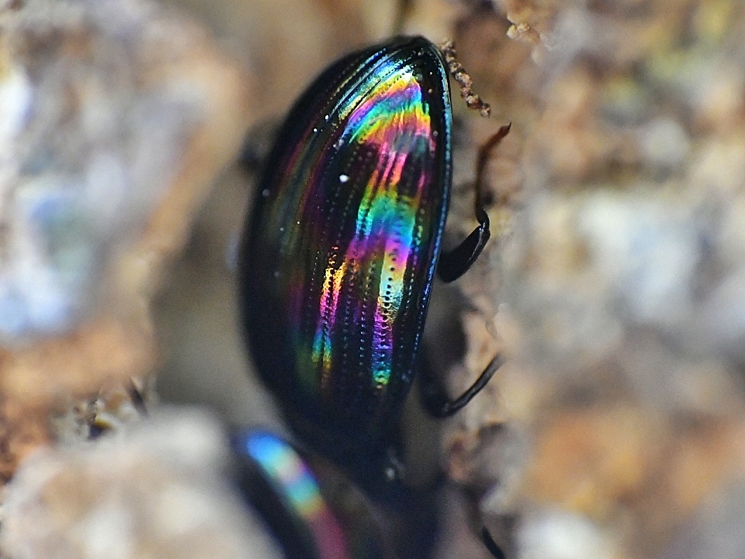 f0340732_17451883.jpg