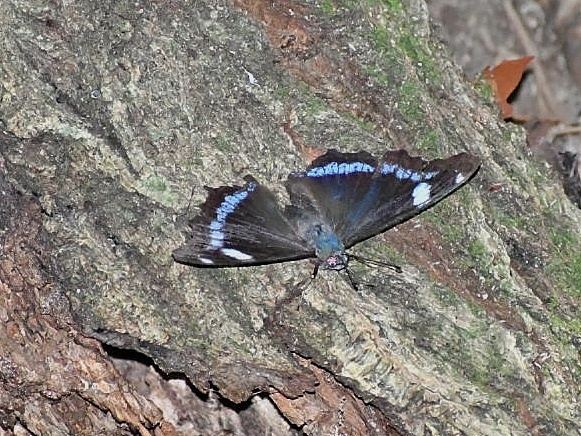 f0340732_17511672.jpg