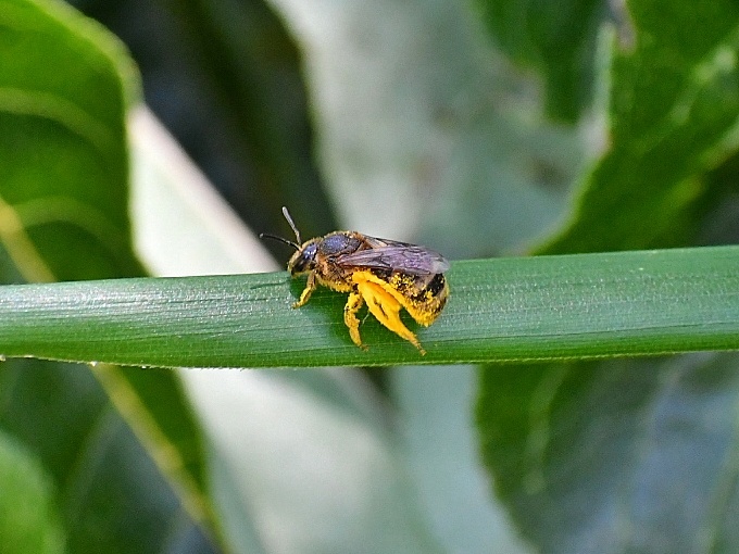 f0340732_17520546.jpg