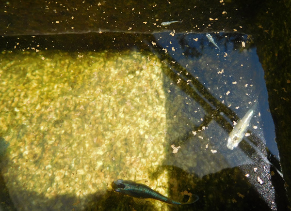 e0097534_18303349.jpg