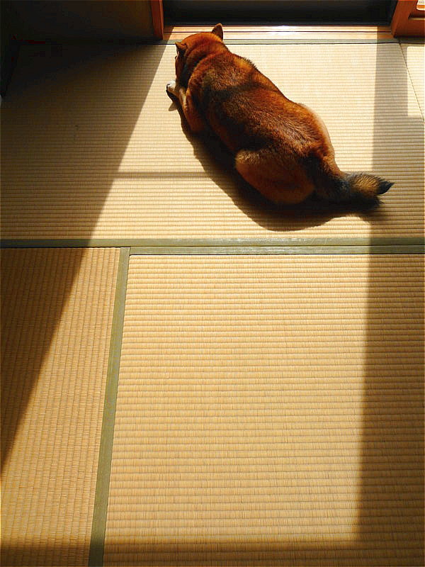 愕然_b0314043_10492535.jpg