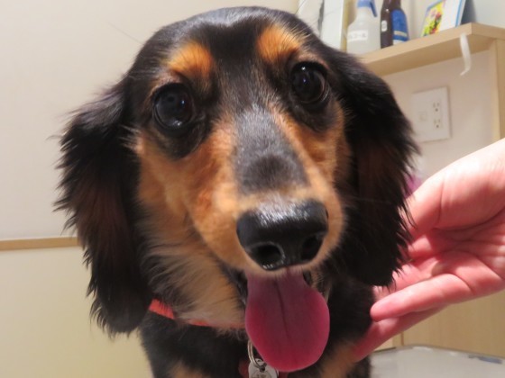 8 月 10 日の写真_c0174644_12075132.jpg
