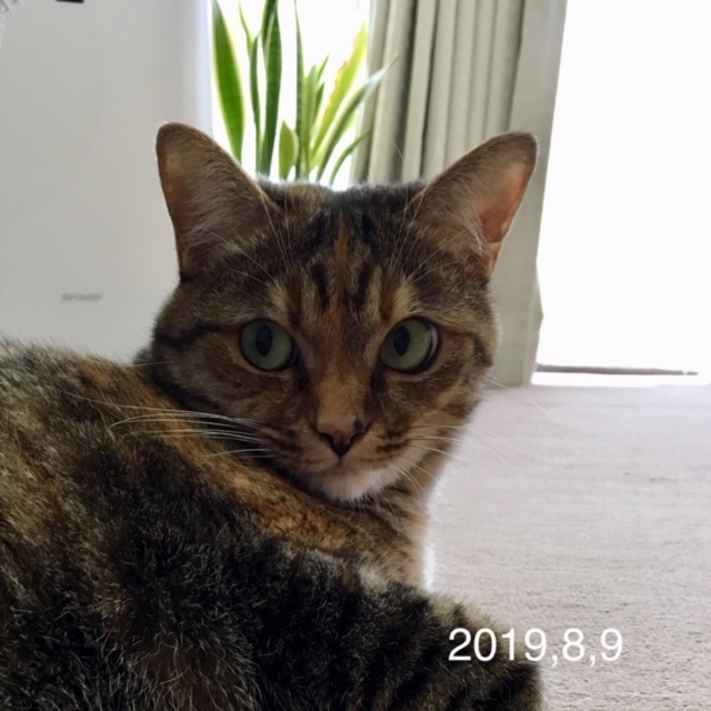 f0372445_09520421.jpg