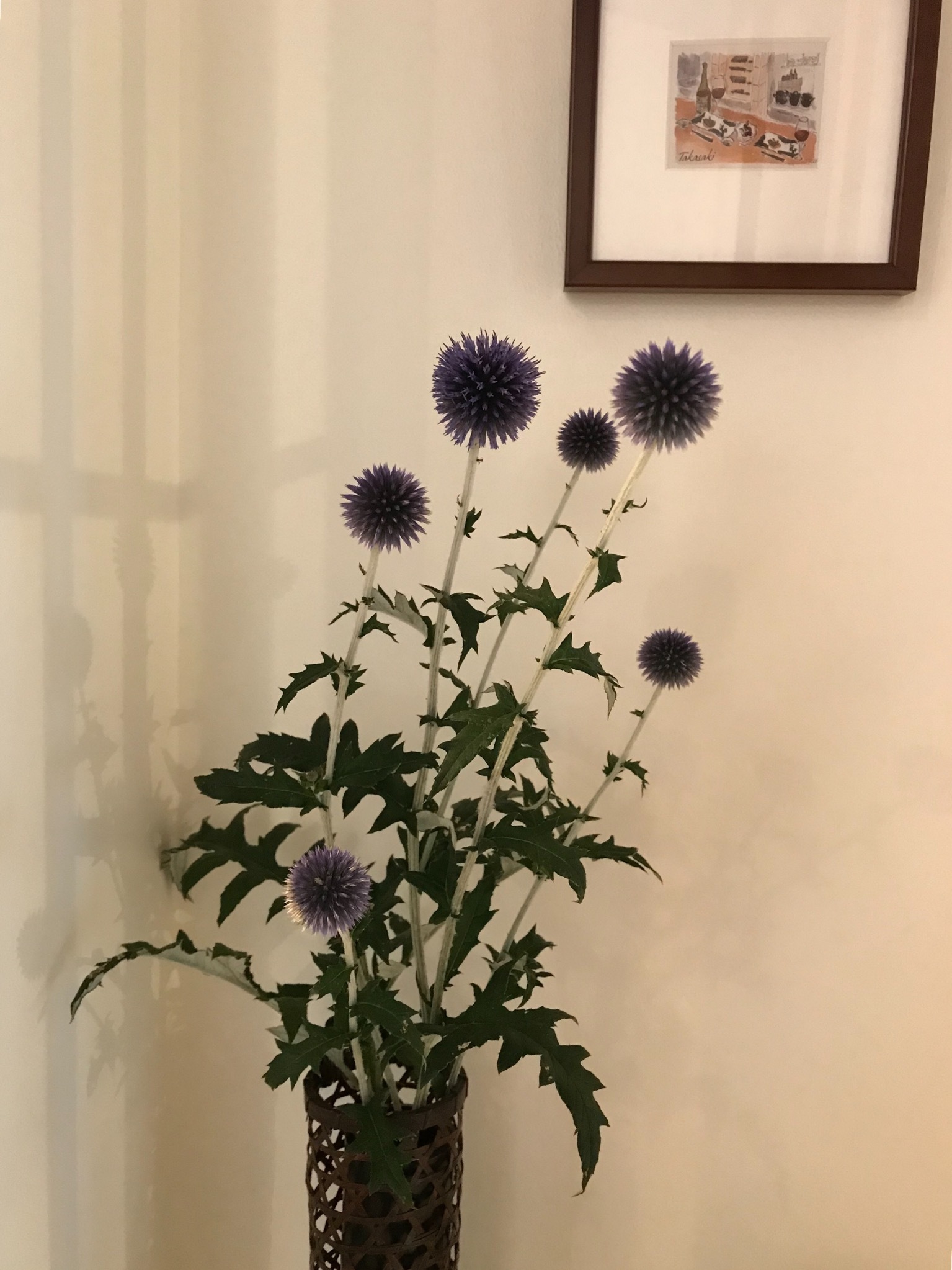 b0290049_20243876.jpeg