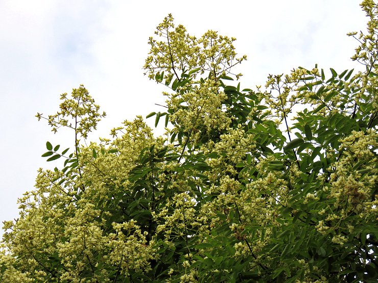 f0214649_02331424.jpg