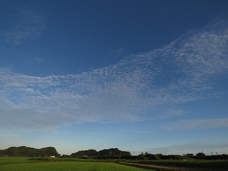 f0214649_21345537.jpg