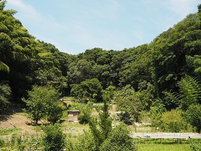 e0010955_12310778.jpg