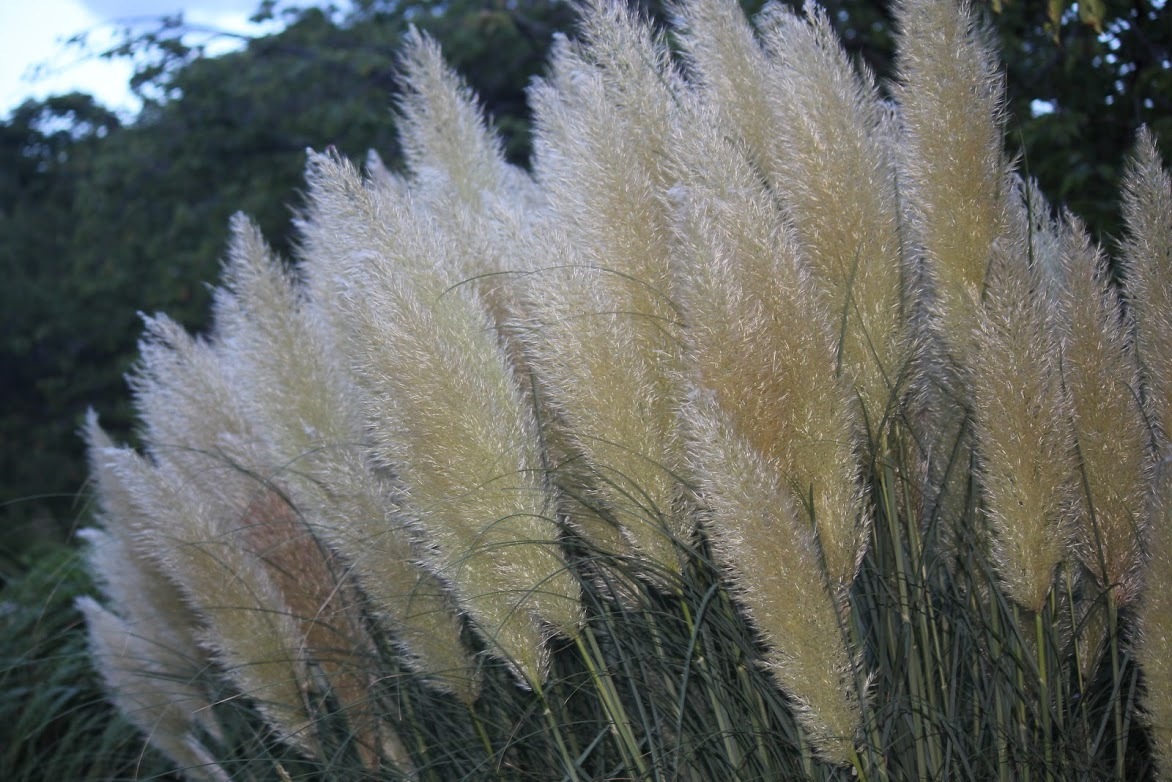 a0248459_15031643.jpg
