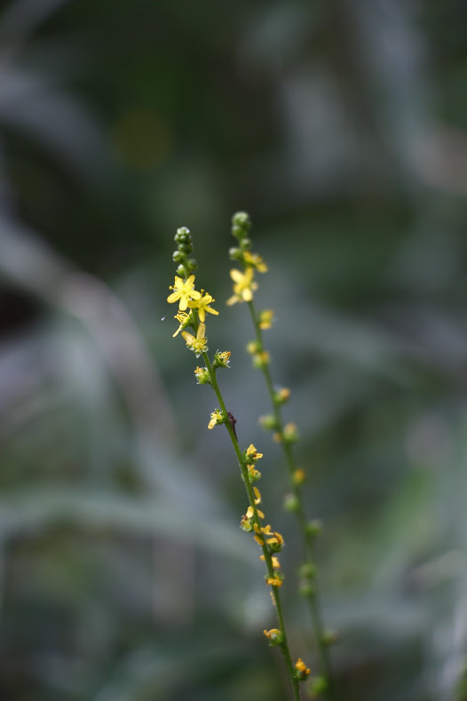 a0248459_15123970.jpg