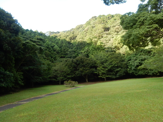 ’19,8,10(土)今日は早朝散歩!_f0060461_10590061.jpg