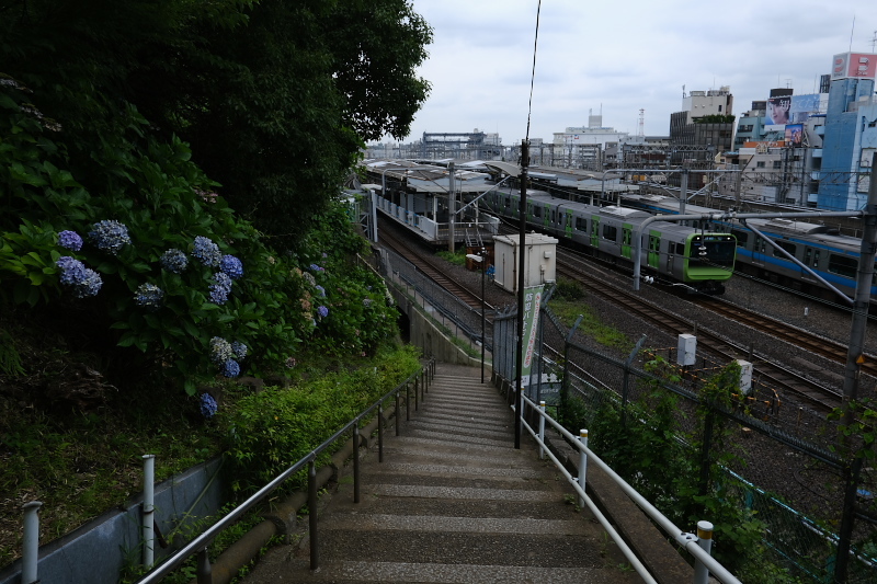f0079061_21030999.jpg