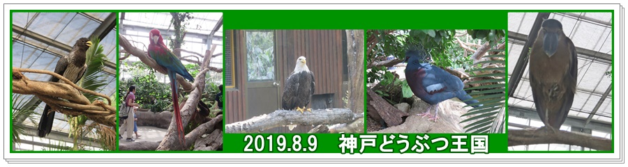 a0052666_21414636.jpg