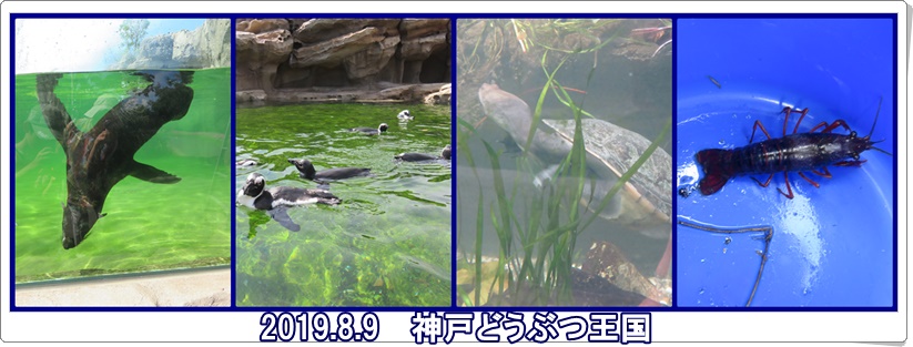 a0052666_21441266.jpg