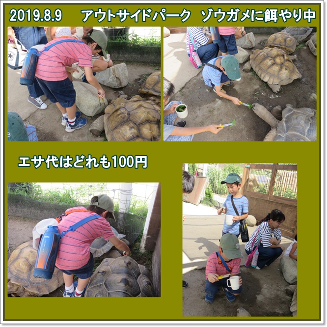 a0052666_21504678.jpg