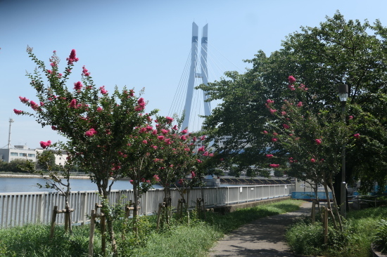 d0193569_08085236.jpg